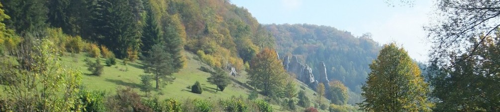 Schwäbischer Albverein | Ortsgruppe Gundelfingen